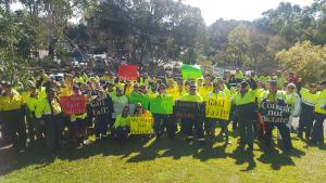 Georges River Council members