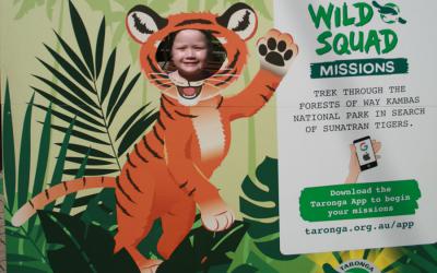 Metro picnic day a roaring success!