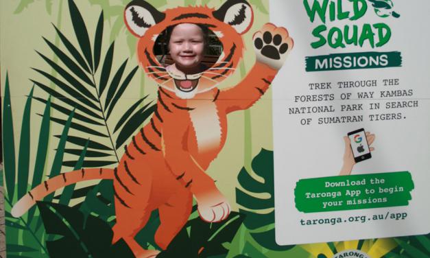 Metro picnic day a roaring success!