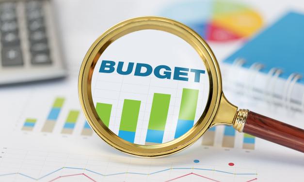 NSW BUDGET: WHAT’S IT REALLY SAY?