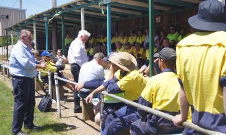 Crookwell Gazette: United Services Union stop-work meeting with ULS council staff