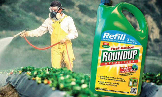 GLYPHOSATE & ROUNDUP UPDATE