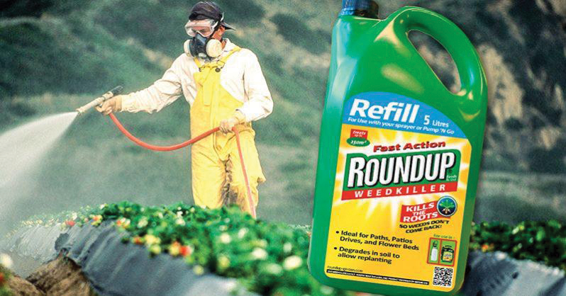 GLYPHOSATE UPDATE