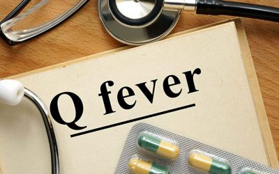 Health Alert: Q-Fever Update