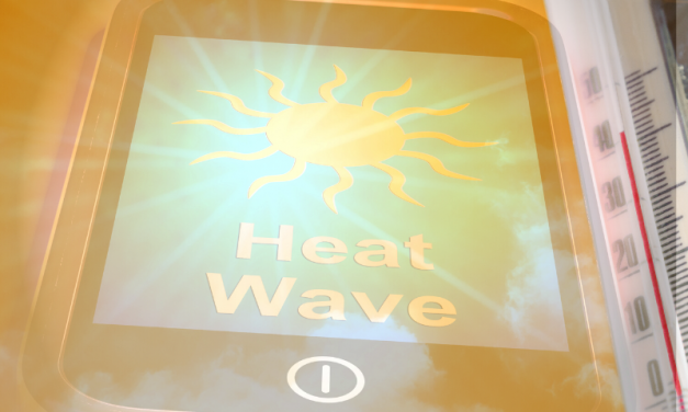 Work Health &  Safety Alert: Working in Heat and Smoke Haze – Bushfires and Air Quality