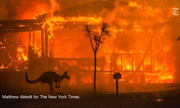 Bushfire Support for USU Members