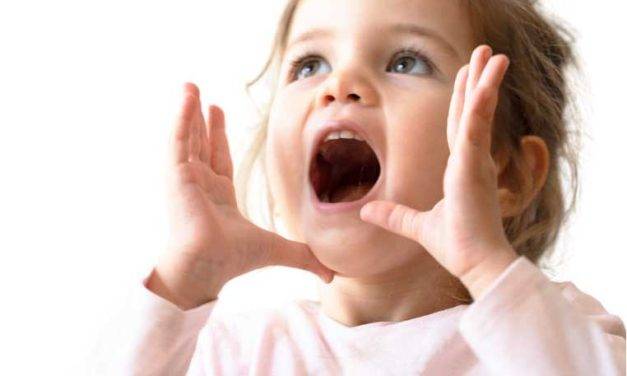SAVE OUR CHILDCARE: DEVONSHIRE STREET IS THE ONLY COUNCIL-RUN CHILDCARE IN WILLOUGHBY COUNCIL