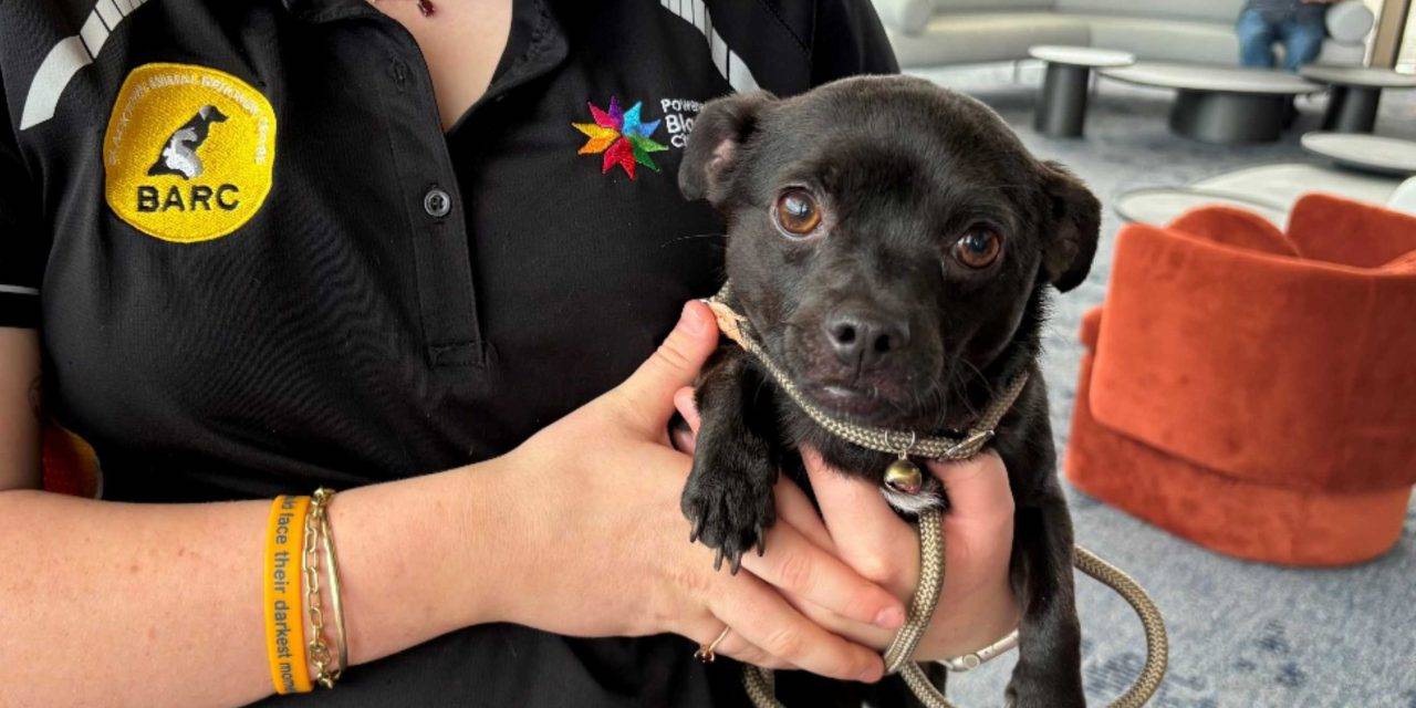 BARC Workers Raise Safety Concerns – Urgent Action Underway