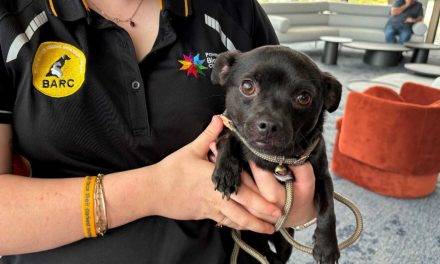 Safety Concerns at Animal Rehoming Centre – Urgent Action Underway