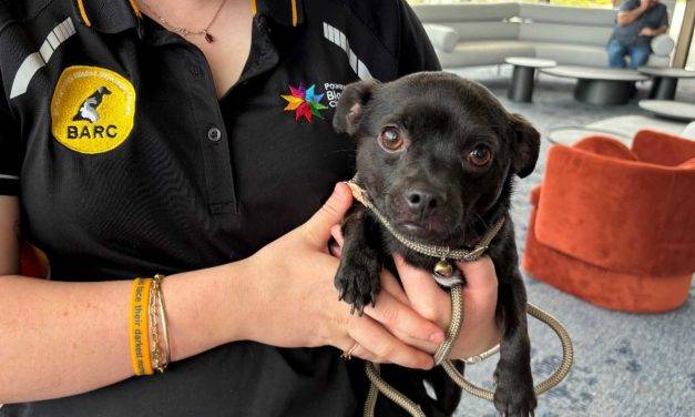 BARC Workers Raise Safety Concerns – Urgent Action Underway