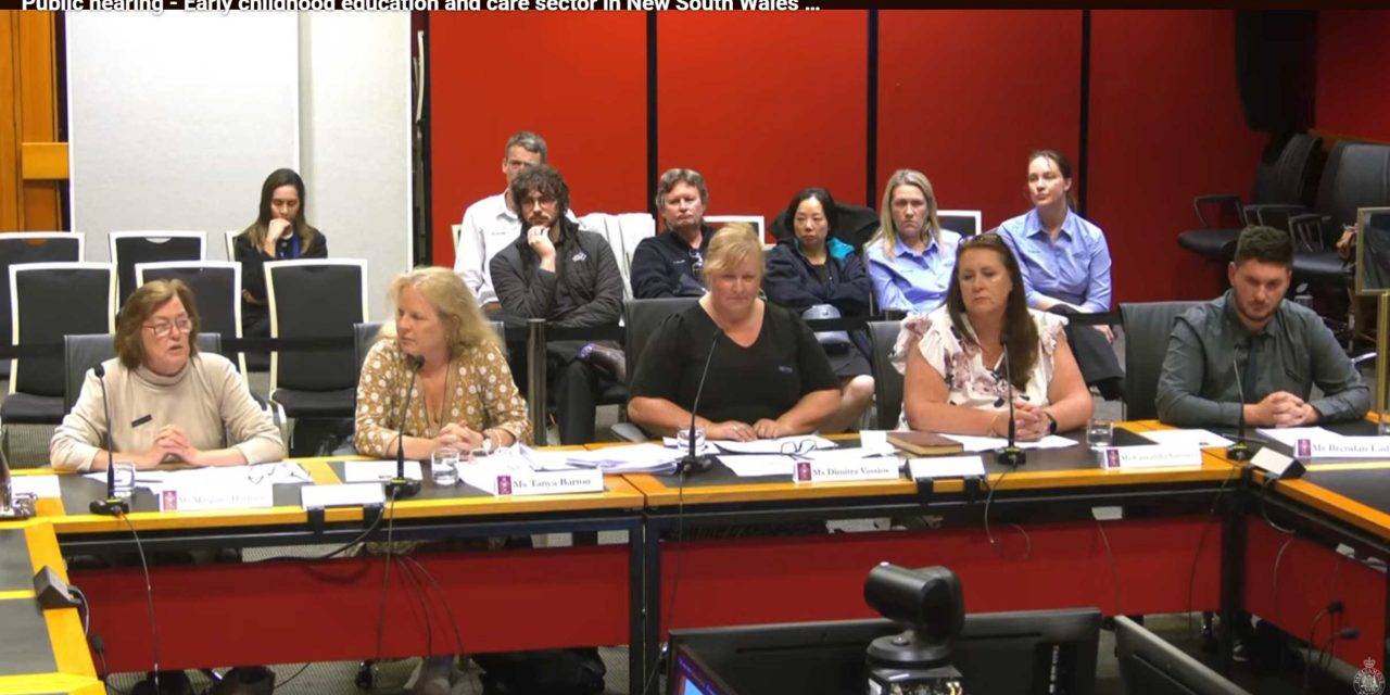 USU Delegates Expose ECEC Crisis in Parliament