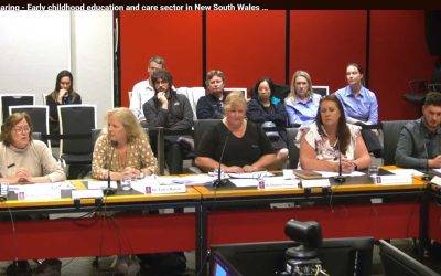 USU Delegates Expose ECEC Crisis in Parliament