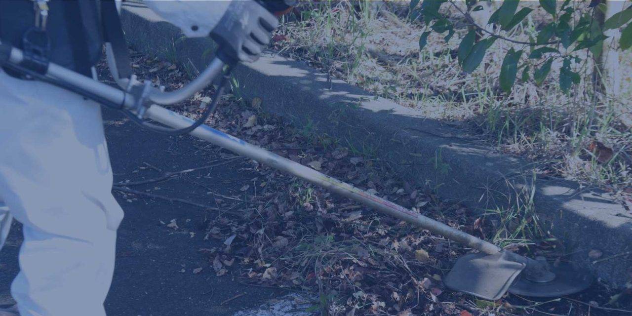 Trial of Expanded Adverse 2 Allowance Agreed