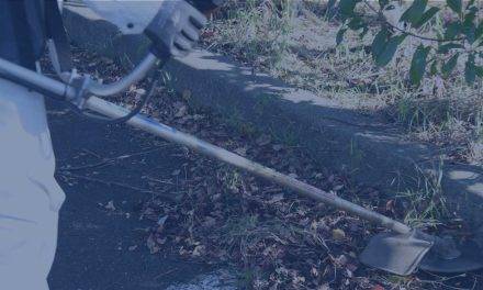 Trial of Expanded Adverse 2 Allowance Agreed