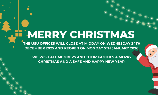 Need help over Christmas and New Year?