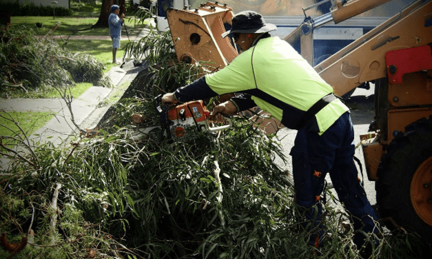 Keeping energy members up to date